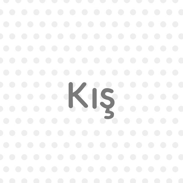 Kış