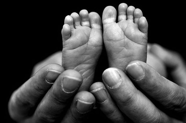 8. Рисунок или фото?