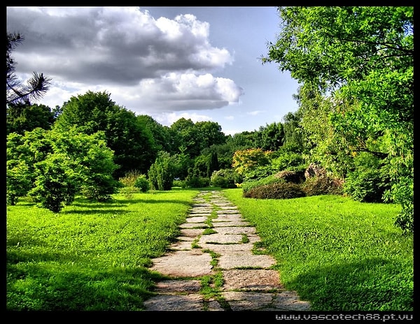 27. Уж о садах мы тем более умолчим