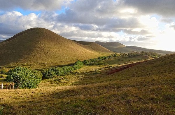 2. На острове произошла экологическая катастрофа?