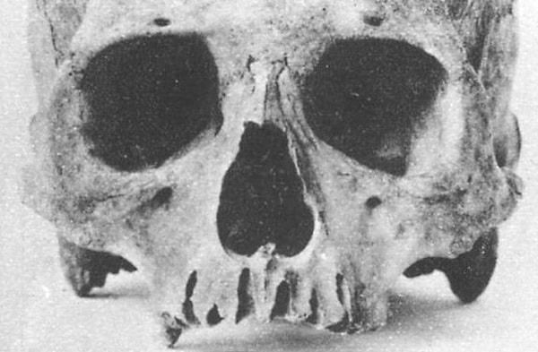 7. На острове была война между длинноухими и короткоухими жителями?