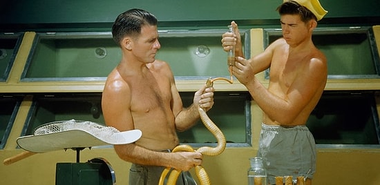 28 потерянных и неопубликованных фото из архива National Geographic