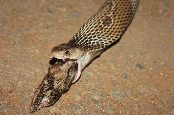 5. Признайтесь, вам как минимум стало не по себе