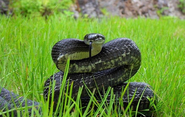 11. У меня на спине выступила испарина, а у вас?