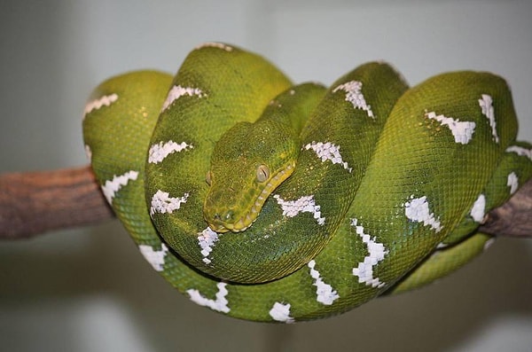 17. Господи, не смотри на меня, пожалуйста!