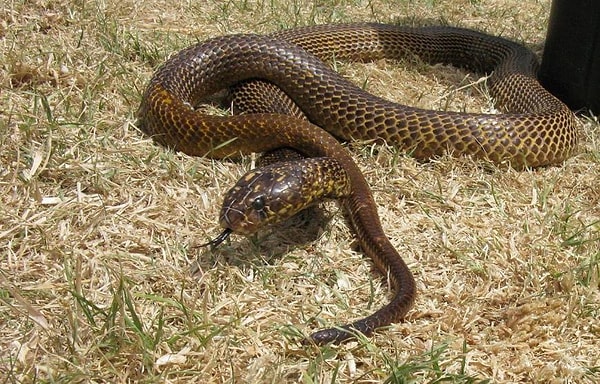 21. Действительно ли каждое творение можно назвать прекрасным? Лично я очень сомневаюсь!