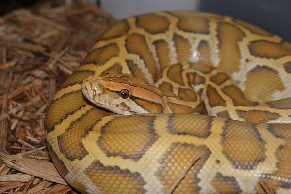 22. Поднимите руку те, у кого волосы встали дыбом? 🙋