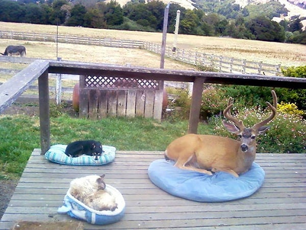 14. А почему бы и нет?