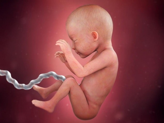Günümüzde hala bu farklılıkların biyolojik olarak genetik kodlarımızla olan bağlantısını ortaya koyabilecek bir çalışma ortaya çıkmamıştı.