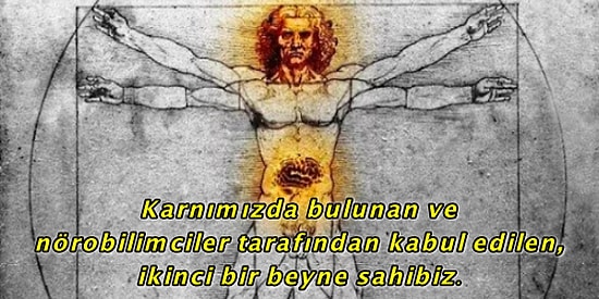 Muhtemelen Bilmediğiniz Karındaki Beyniniz ile Alakalı Okudukça Şaşıracağınız İlginç Gerçekler