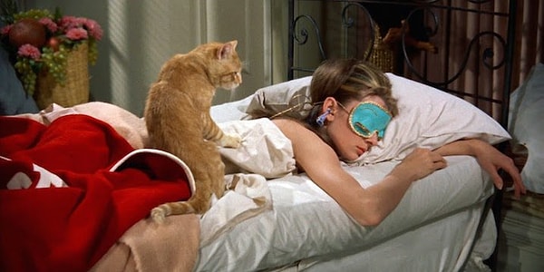 14. Хочешь спать