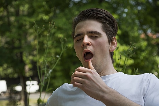 Her Gün Aynı Saatlerde Hapşıranlardansanız Bilim Bu Durumunuzun Nedenini Bulmuş Olabilir!