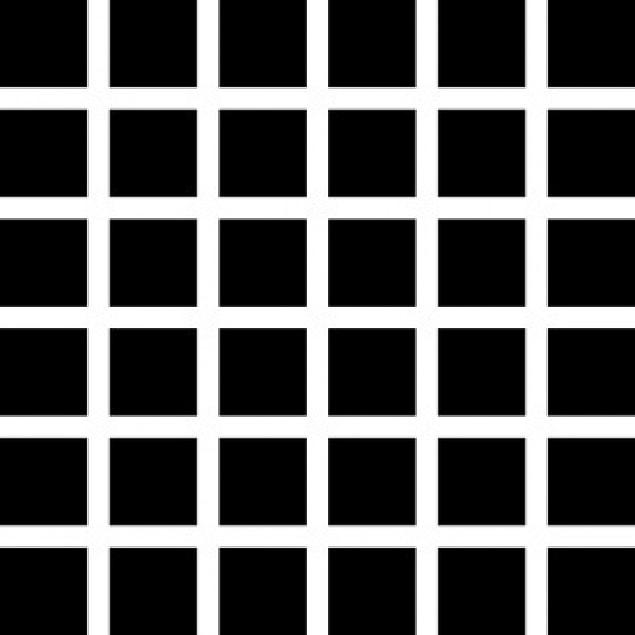 5. Hermann grid illusion