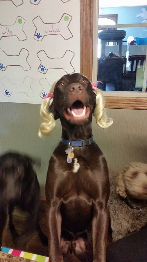 3. "Разве ей не идет блонд?"