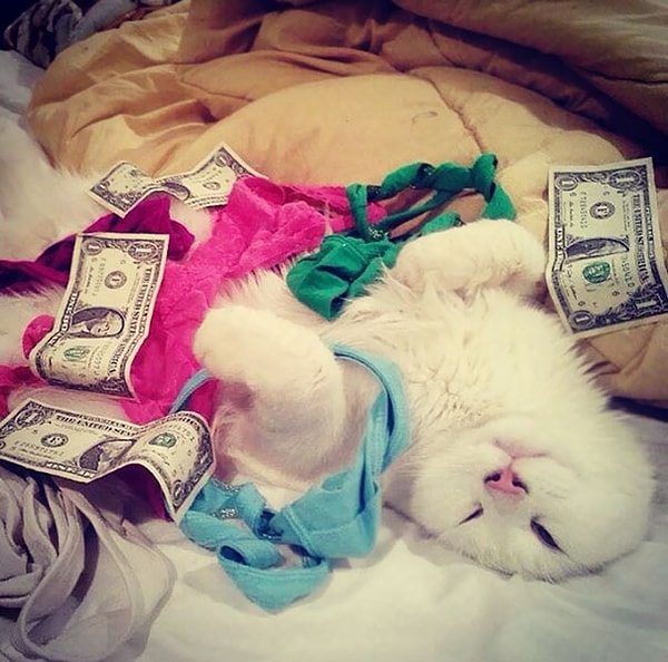 6. "Когда оставляешь девушку со своим котом наедине"