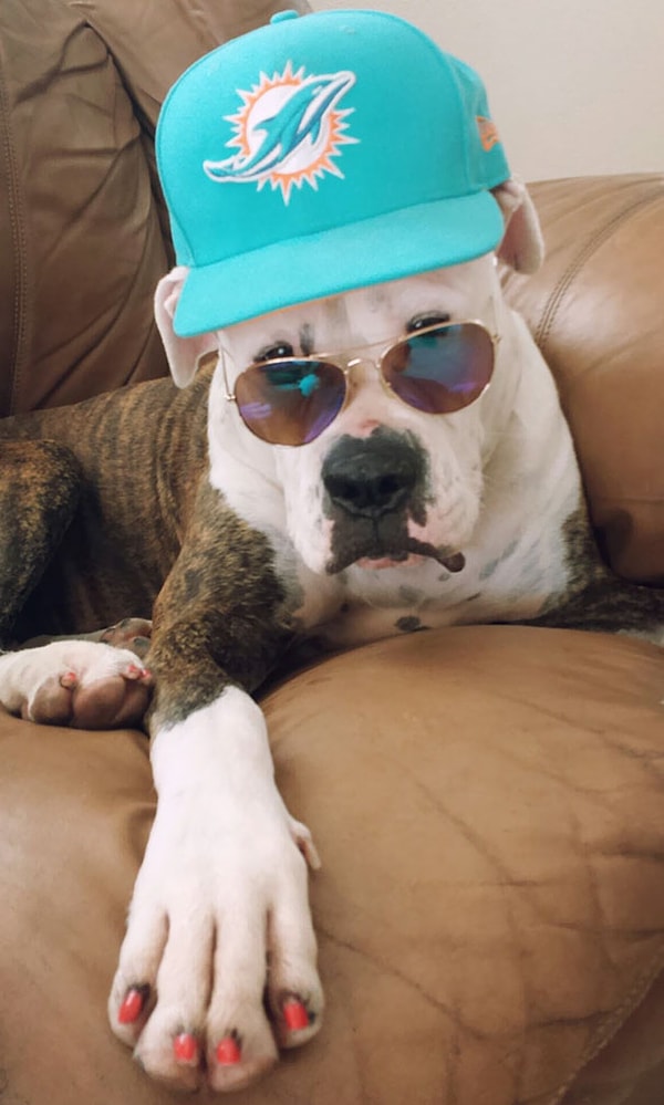 9. "Я всего лишь вышел в магазин на 10 минут, а моя девушка осталась с моей собакой"