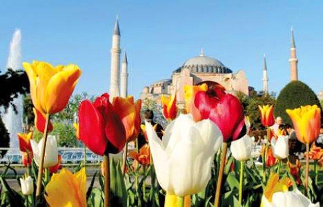 12. Görsel bir şöylen yaratacak: İstanbul Lale Festivali