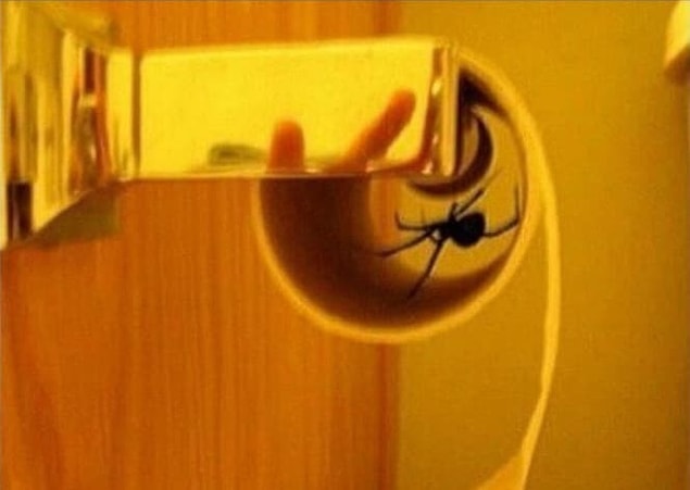 6. While this sneaky bastard is going to really mess up someone's bathroom experience.