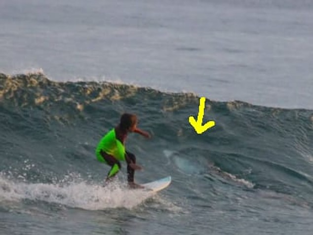 9. This surfer might catch more than a wave.