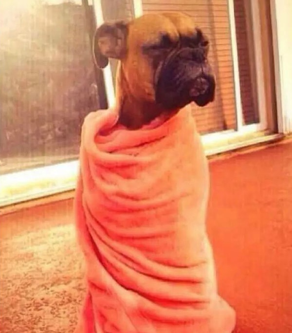 2. Вы засыпаете на диване, а кто-то назойливо просит перебраться в постель: