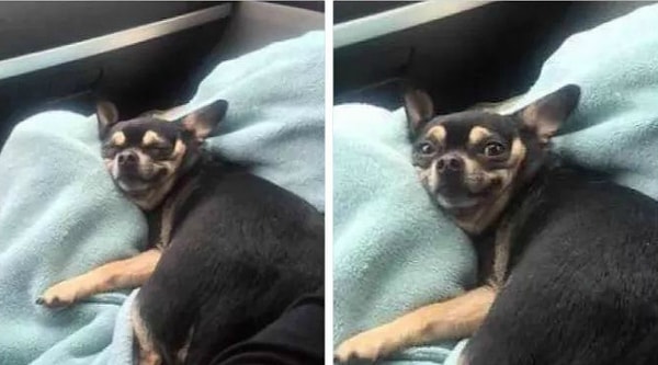 4. Вот вы ложитесь вздремнуть всего на 15 минуток, но засыпаете на полдня: