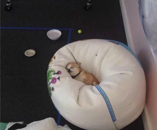 18. Вы говорите себе, что у вас есть целые выходные, чтобы разобраться с работой, но не тут то было...