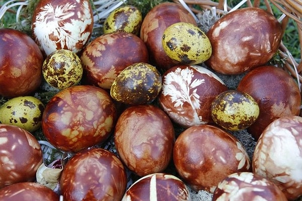 1. Отпечатки на скорлупе