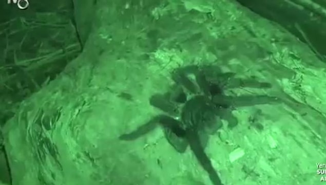 2. Adada yarışmacı olduğunu varsayalım. Hangisi seni daha çok korkuturdu?