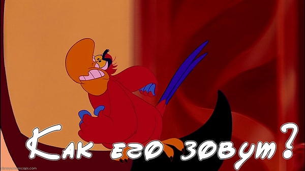 9. Финишная прямая