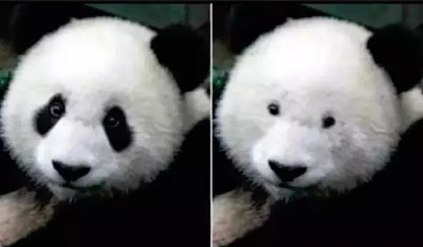 10. Так вы выглядите в глазах ваших друзей, когда снимаете очки