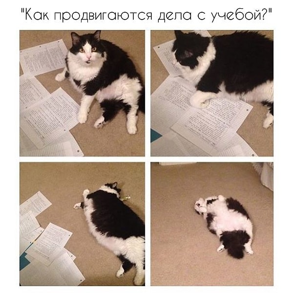 5. Не задавайте  больше такие вопросы