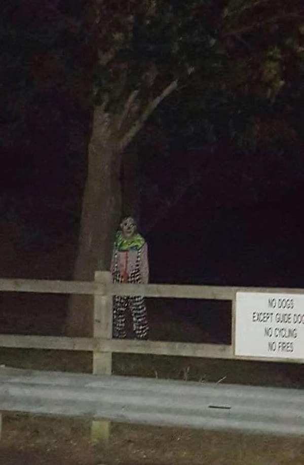 16. Вышел из леса посреди ночи...