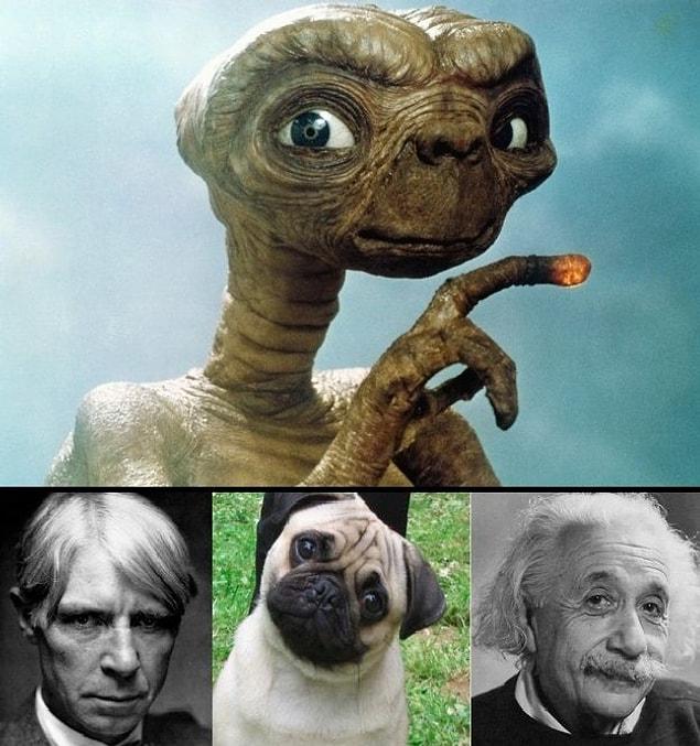 1. E.T.'s face was based on the face of poet Carl Sandburg, Albert Einstein, and a pug.