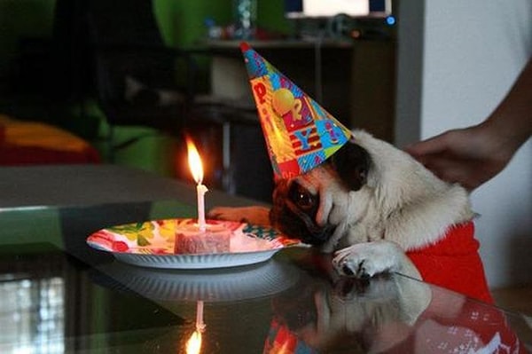 7. Все на день рождения хотят выглядеть потрясно!