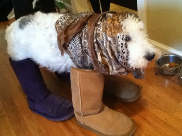 8. Когда перед выходом на улицу мама говорит одеваться по-теплее