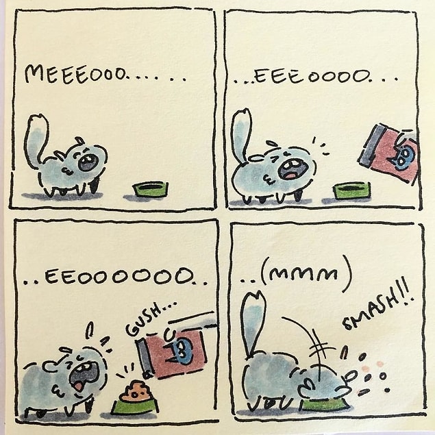 21. 🍲🍲🍲
