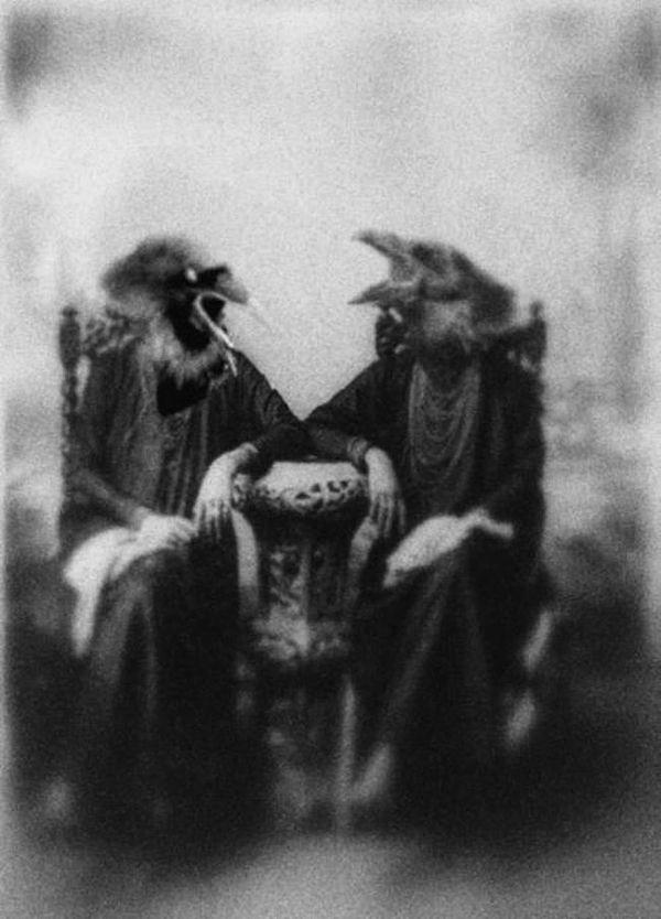 4. Two women wearing bird headdresses have a chat.