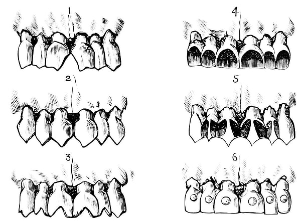 12. Они подпиливали зубы особым образом ради устрашения врагов.