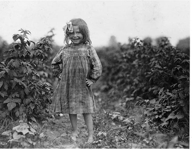 18. A 6-year-old girl working as a berry picker stands in a field in Maryland, circa 1909.