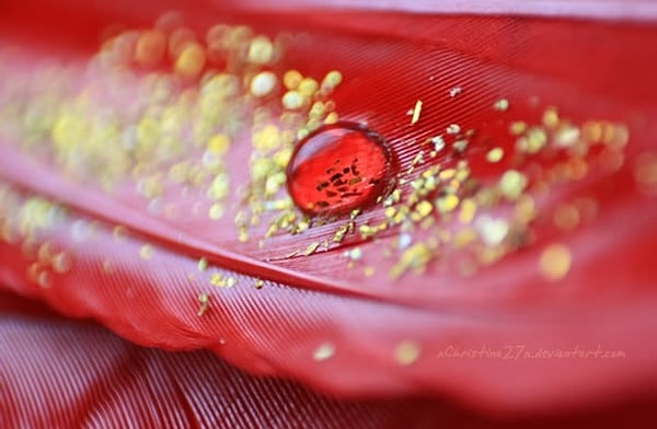 2. "Золотая" кровь