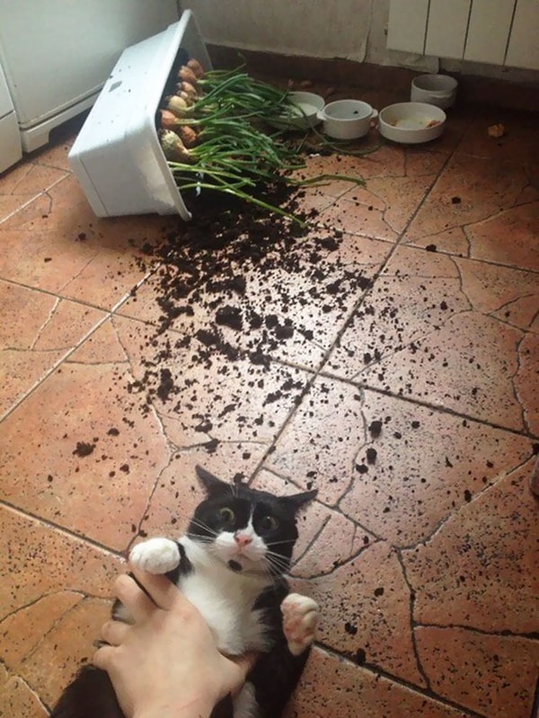 2. И ты тоже схвачен с поличным :)