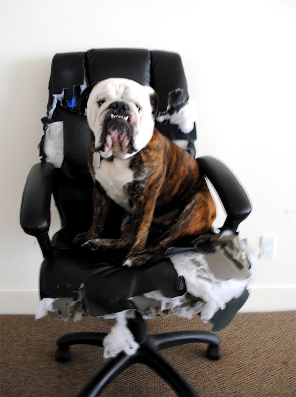 17. Теперь я тут главный :)