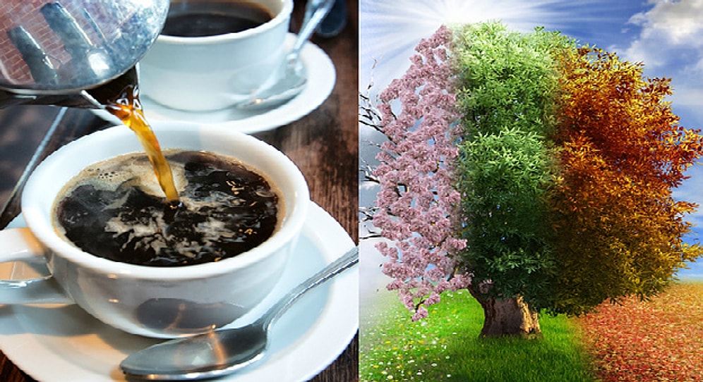 Тест: Расскажите нам, что вы любите пить, а мы угадаем, в какое время года вы родились!