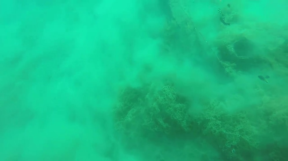 Filipinlerde Su Altında Deprem Anı Kaydedildi