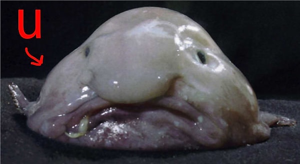 7. Вы часто показываете друг другу страшные картинки, приговаривая: "Это ты" и зная, что никто и не собирается обижаться