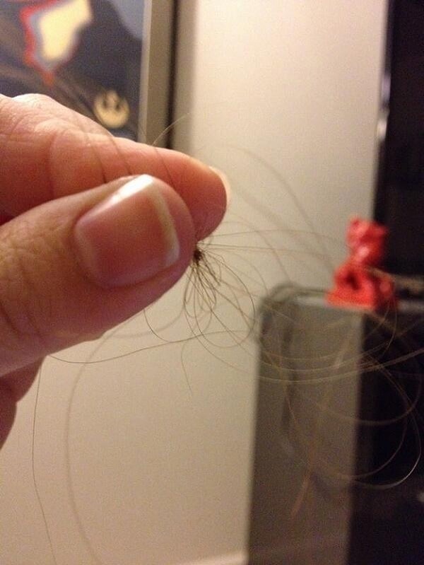 9. До боли знакомо