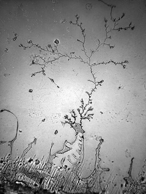 12. Слёзы восторга от переживаемого события