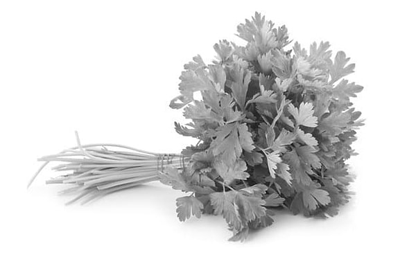 6. Не так-то и просто отгадать петрушка это или кинза, но мы верим, что у вас получится