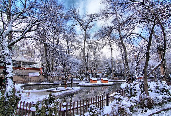 17. Ankara'nın en huzurlu yeri: Kuğulu Park