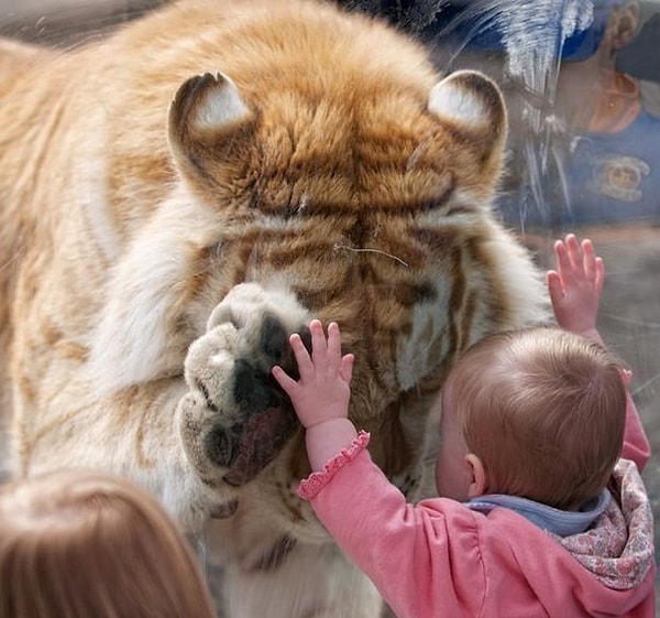 5. Я считаю, что действительно настоящая религия - это Доброе Сердце.
